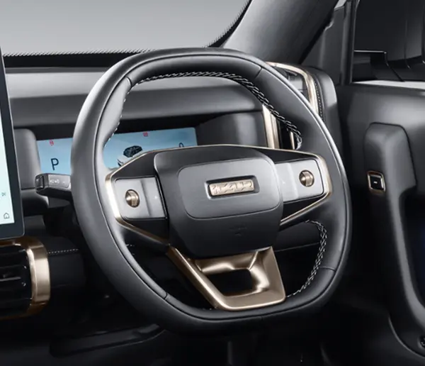 Multifunction Steering Wheel