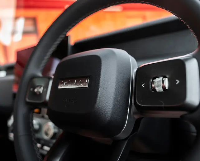 Multifunction Steering Wheel